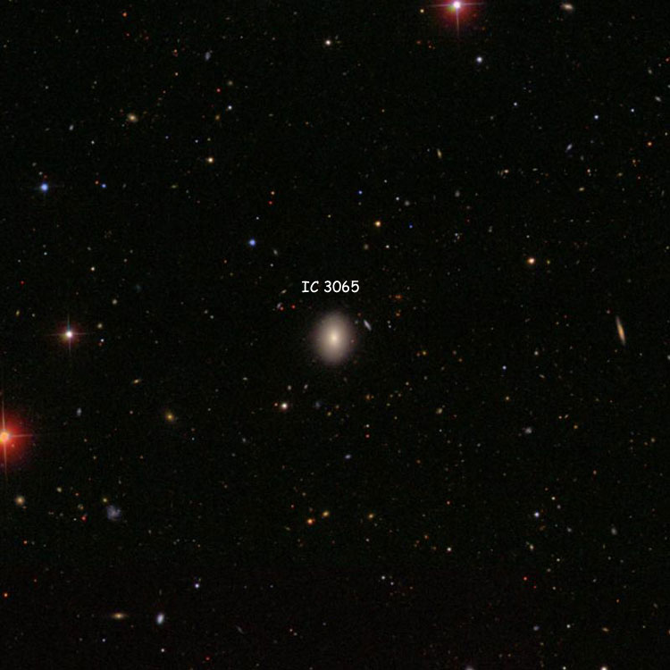 SDSS image of region near lenticular galaxy IC 3065