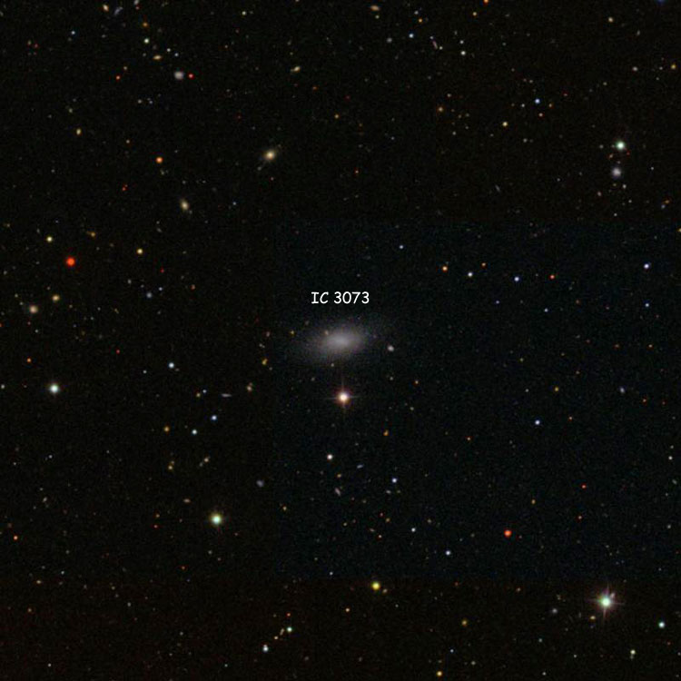 SDSS image of region near irregular galaxy IC 3073