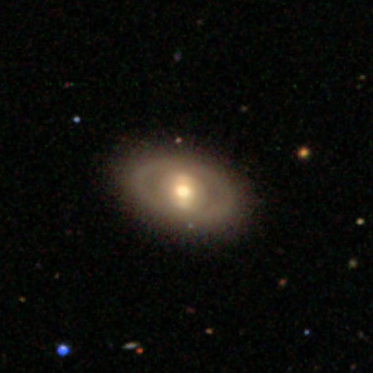 SDSS image of spiral galaxy IC 3075