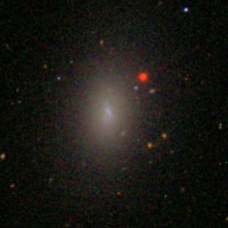 SDSS image of spiral galaxy IC 3077