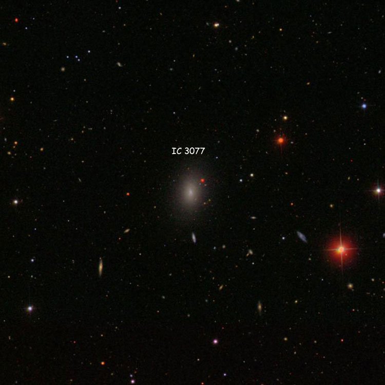 SDSS image of region near spiral galaxy IC 3077