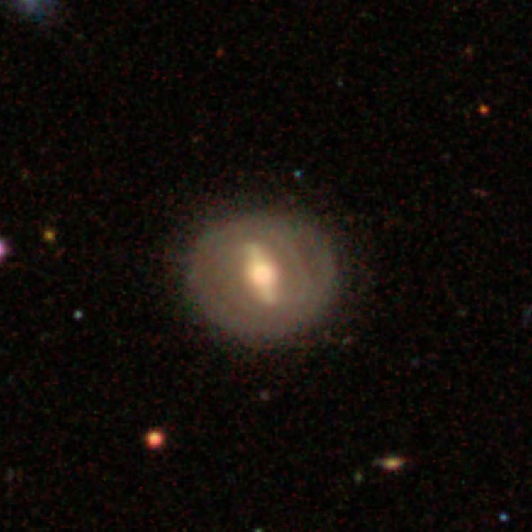 SDSS image of spiral galaxy IC 3080