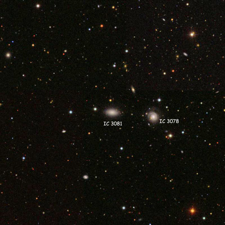 SDSS image of region near lenticular galaxy IC 3081, also showing spiral galaxy IC 3078