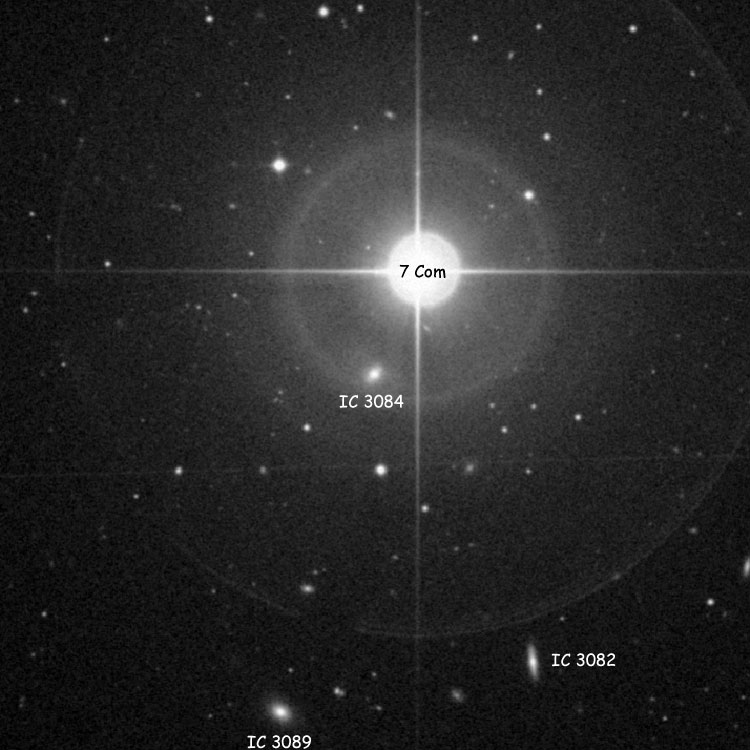 DSS monochrome image of region near elliptical galaxy IC 3084, also showing  spiral galaxy IC 3082 and lenticular galaxy IC 3089