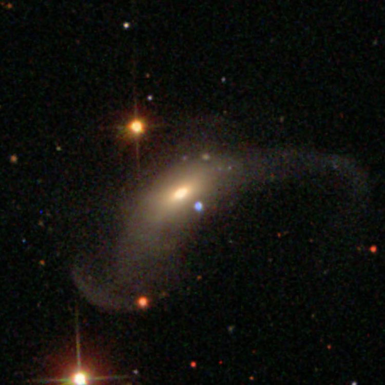 SDSS image of peculiar lenticular galaxy IC 3091