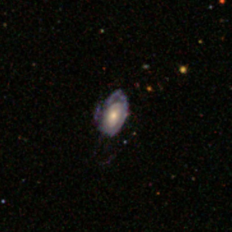 SDSS image of spiral galaxy IC 3092