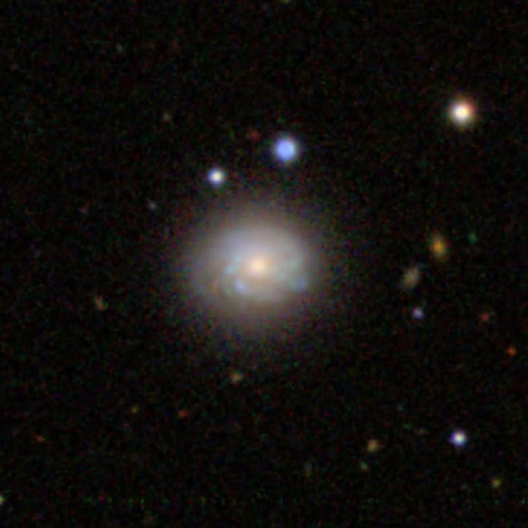 SDSS image of spiral galaxy IC 3094