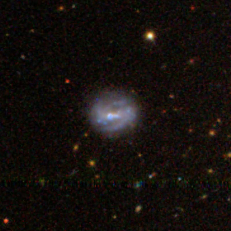 SDSS image of spiral galaxy IC 3095