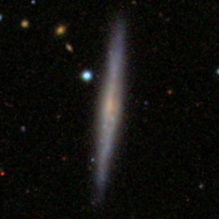 SDSS image of spiral galaxy IC 3099