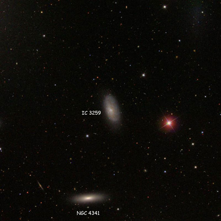 SDSS image of region near spiral galaxy IC 3259, also showing lenticular galaxy NGC 4341