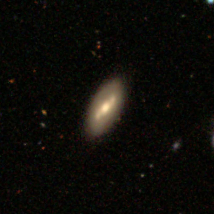 SDSS image of spiral galaxy IC 3262