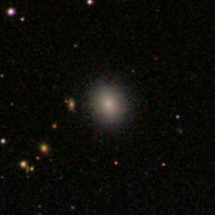 SDSS image of dwarf elliptical galaxy IC 3301