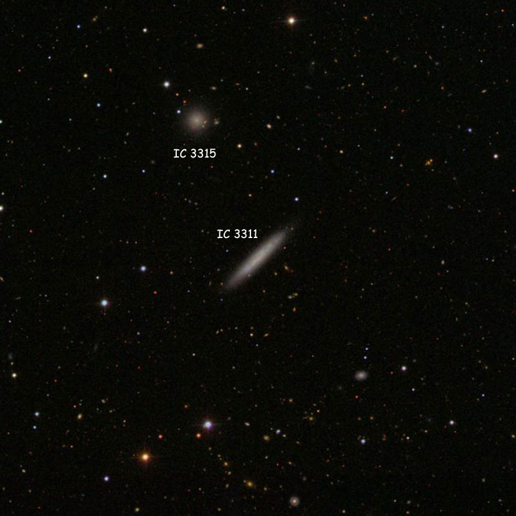 SDSS image of region near spiral galaxy IC 3311, also showing dwarf elliptical galaxy IC 3315