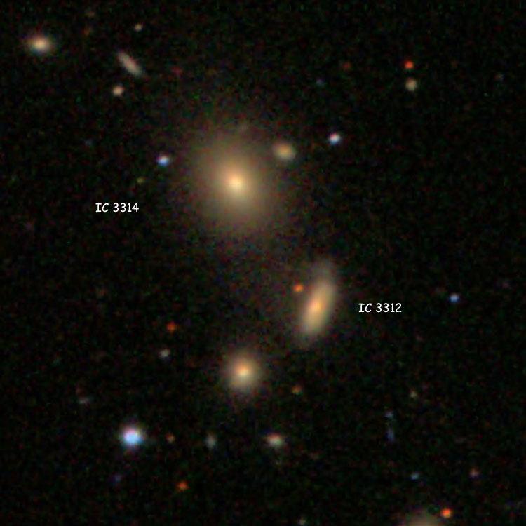 SDSS image of lenticular galaxy IC 3312 and elliptical galaxy IC 3314