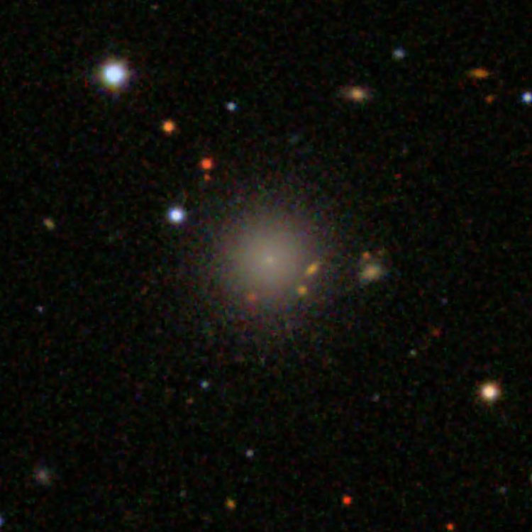 SDSS image of dwarf elliptical galaxy IC 3315
