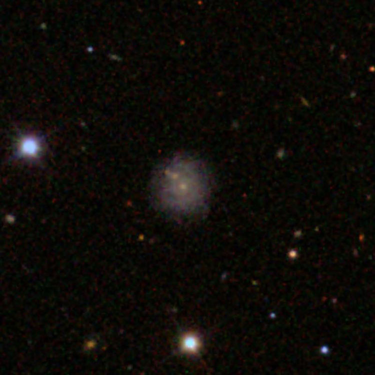 SDSS image of spiral galaxy IC 3317