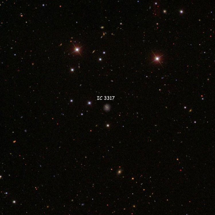 SDSS image of region near spiral galaxy IC 3317