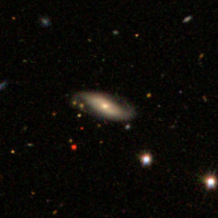 SDSS image of spiral galaxy IC 3338