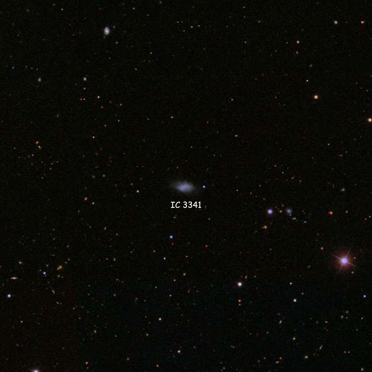 SDSS image of region near spiral galaxy IC 3341