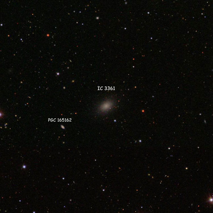 SDSS image of region near elliptical galaxy IC 3361, also showing spiral galaxy PGC 165162