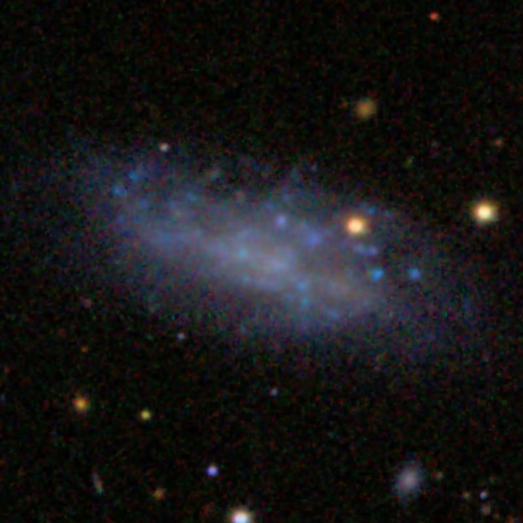 SDSS image of irregular galaxy IC 3365