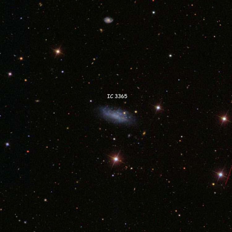 SDSS image of region near irregular galaxy IC 3365