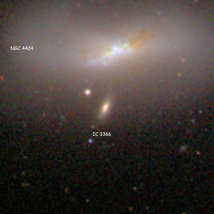 SDSS image of spiral galaxy IC 3366, also showing part of spiral galaxy NGC 4424