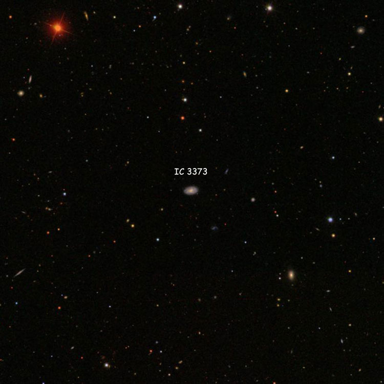 SDSS image of region near spiral galaxy IC 3373