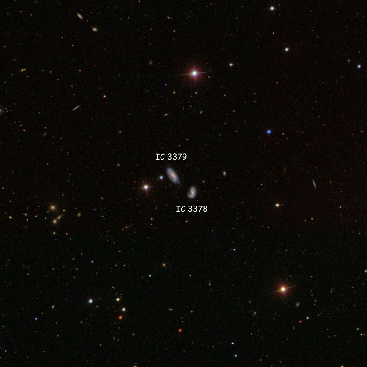 SDSS image of region near spiral galaxies IC 3378 and 3379