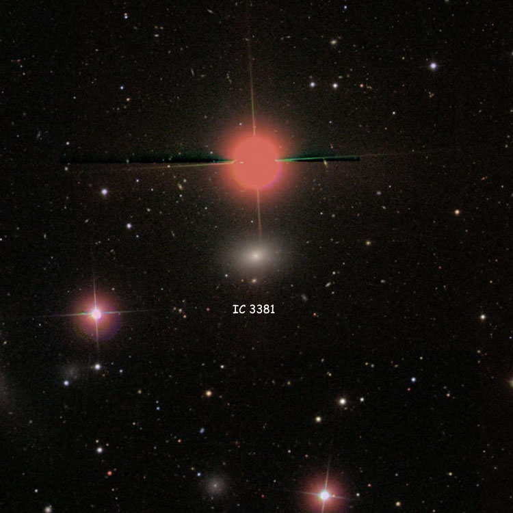 SDSS image of region near elliptical galaxy IC 3381