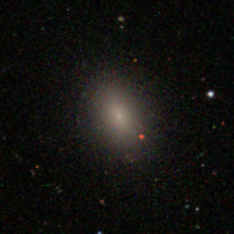 SDSS image of elliptical galaxy IC 3383