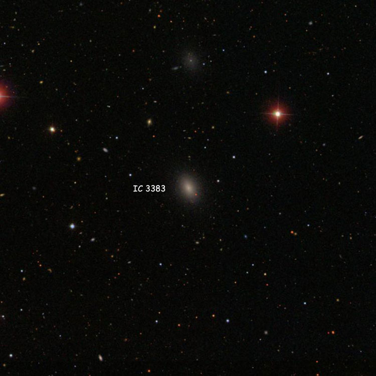 SDSS image of region near elliptical galaxy IC 3383