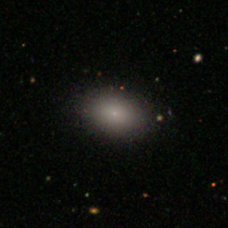 SDSS image of elliptical galaxy IC 3388