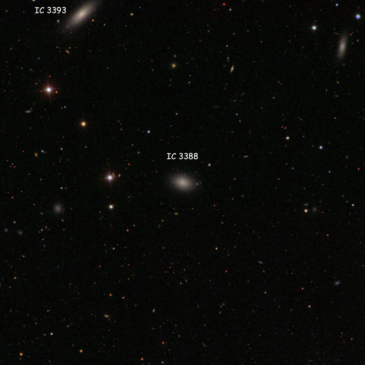 SDSS image of region near elliptical galaxy IC 3388, also showing elliptical galaxy IC 3393