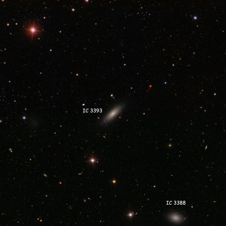 SDSS image of region near elliptical galaxy IC 3393, also showing elliptical galaxy IC 3388