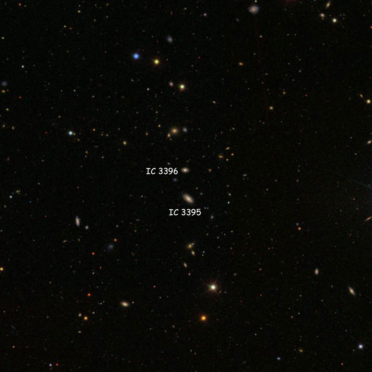 SDSS image of region near lenticular galaxies IC 3395 and 3396