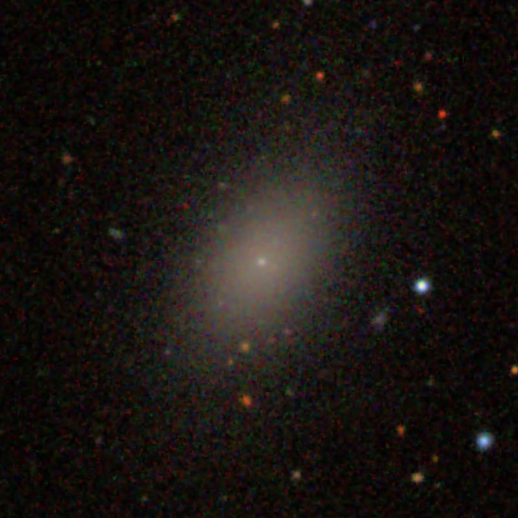 SDSS image of elliptical galaxy IC 3457
