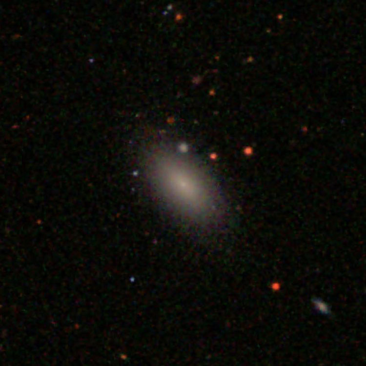 SDSS image of elliptical galaxy IC 3462