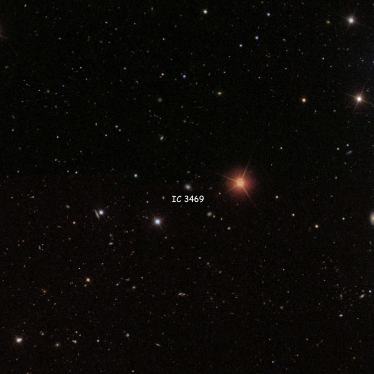 SDSS image of region near compact galaxy IC 3469