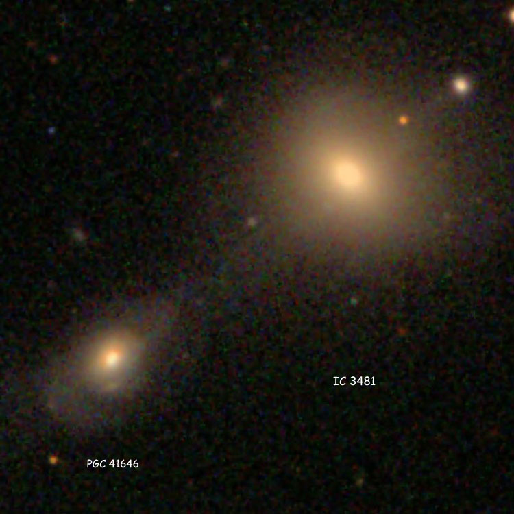 SDSS image of lenticular galaxy IC 3481 and spiral galaxy PGC 41646, which are part of Arp 175, which is also known as Zwicky's Triplet