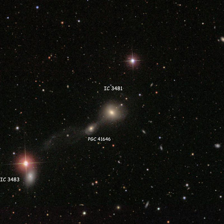SDSS image of region near lenticular galaxy IC 3481 and spiral galaxy PGC 41646, also showing spiral galaxy IC 3483, with which they comprise Arp 175, which is also known as Zwicky's Triplet