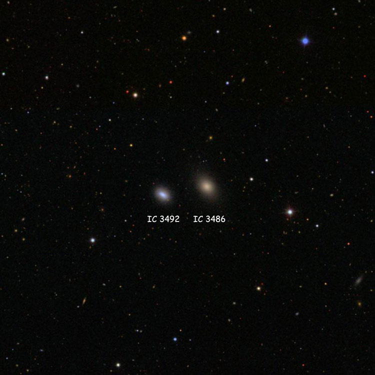 SDSS image of region near elliptical galaxy IC 3486 and lenticular galaxy IC 3492