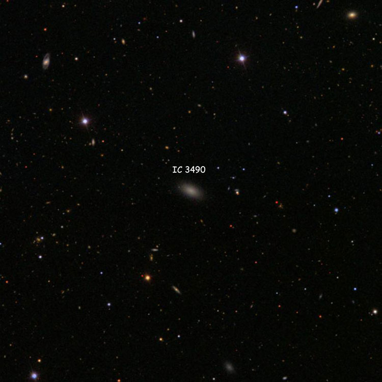 SDSS image of region near elliptical galaxy IC 3490
