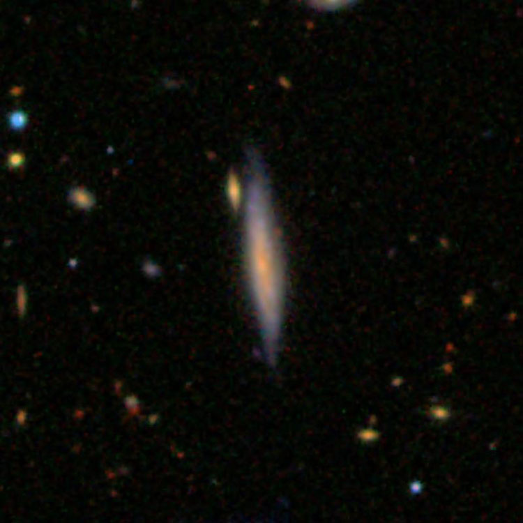 SDSS image of spiral galaxy IC 3491