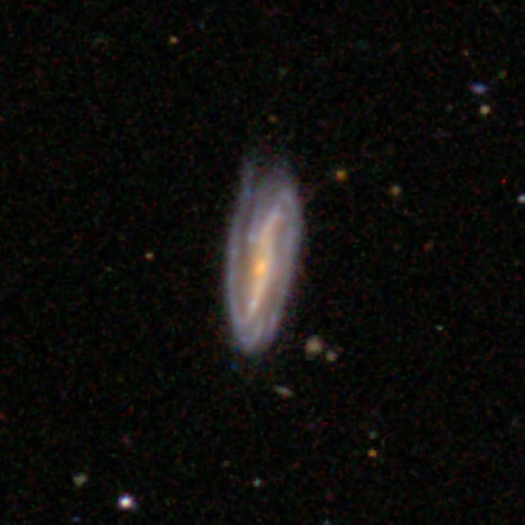 SDSS image of spiral galaxy IC 3505