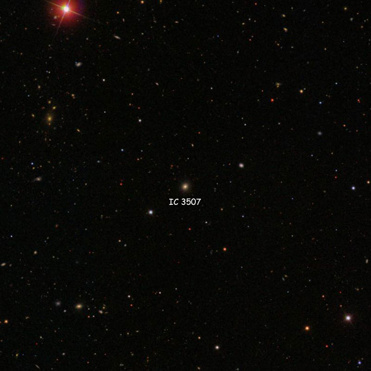 SDSS image of region near compact galaxy IC 3507