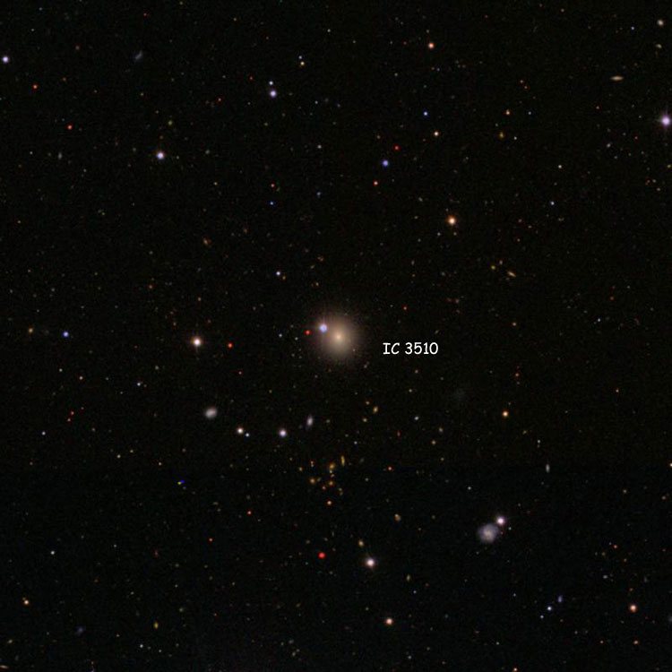 SDSS image of region near elliptical galaxy IC 3510