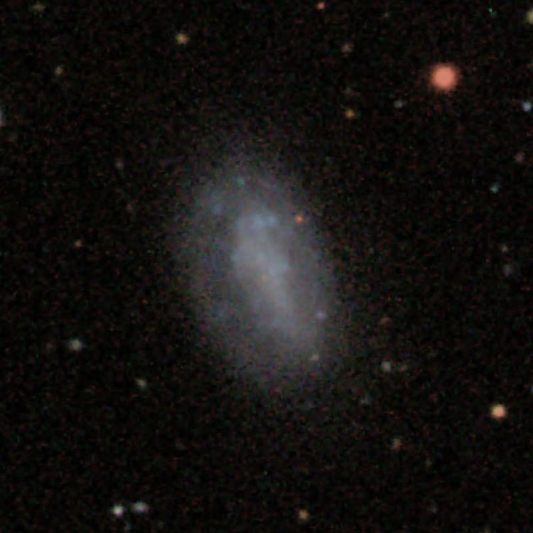 SDSS image of spiral galaxy IC 3517