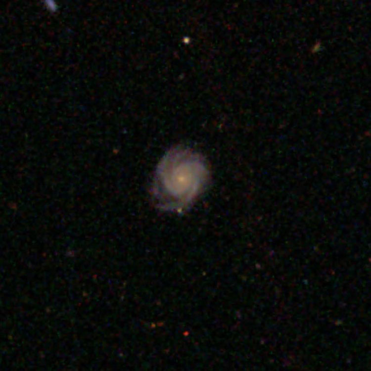 SDSS image of spiral galaxy IC 3523
