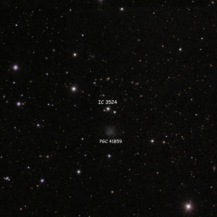 SDSS image of region near the star listed as IC 3524, also showing PGC 41859, which is sometimes misidentified as IC 3524